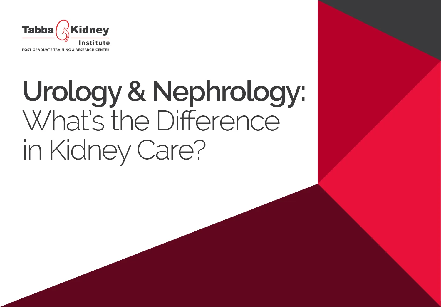 Urology & Nephrology What’s the Difference in Kidney Care